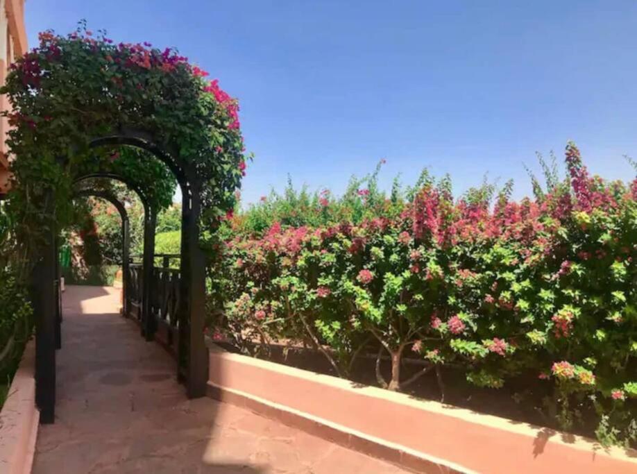 5 Piscines Sport Marrakesch